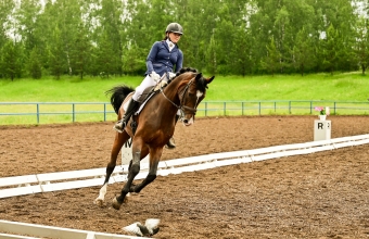 Красноярск принял чемпионат и первенство СФО по конному спорту