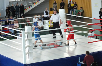 В Красноярском крае проходят турниры по боксу