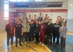 Бокс, дзюдо, ММА: награды Красноярска