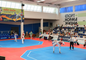 Всероссийские соревнования по тхэквондо «Кубок Енисея»