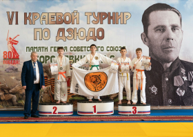 Турнир памяти <br>Ильи Бородавкина <br>прошел в Емельяново 