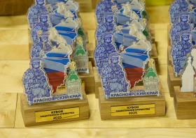 В Красноярске состоялся Кубок защитников Отечества