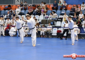 Чемпионат и первенство страны принесли красноярцам 11 наград