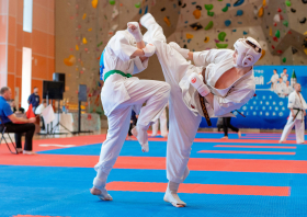 Киокусинкай по-сибирски: 44 медали Красноярска