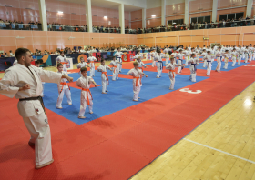 Киокусинкай по-сибирски: 44 медали Красноярска