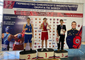 Бокс, дзюдо, ММА: награды Красноярска