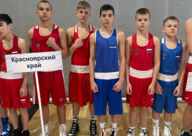 Бокс, дзюдо, ММА: награды Красноярска