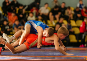 Борьба в школу!