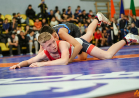 Борьба в школу!