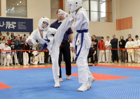 Киокусинкай: лучшие в крае