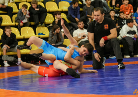 Борьба в школу!