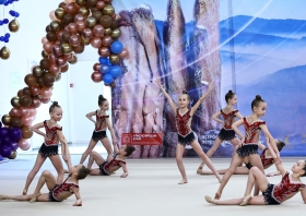 Красноярские гимнастки выиграли чемпионат и первенство СФО