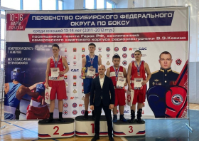 Бокс, дзюдо, ММА: награды Красноярска