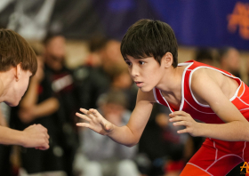 Борьба в школу!