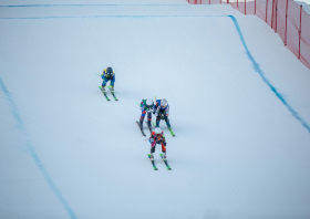 Спартакиада учащихся России: медали фристайла