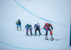 XIII Зимняя спартакиада учащихся (юношеская) России, фристайл