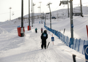 XIII Зимняя спартакиада учащихся (юношеская) России, фристайл