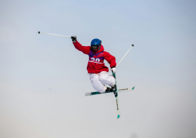 XIII Зимняя спартакиада учащихся (юношеская) России, фристайл