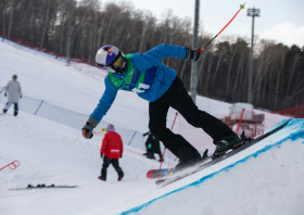 XIII Зимняя спартакиада учащихся (юношеская) России, фристайл