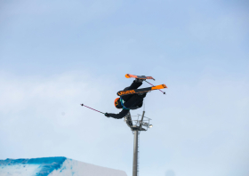 XIII Зимняя спартакиада учащихся (юношеская) России, фристайл