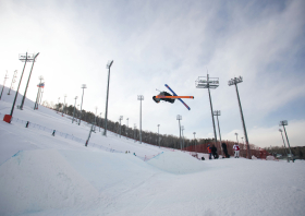 Спартакиада учащихся России: медали фристайла