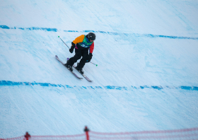 XIII Зимняя спартакиада учащихся (юношеская) России, фристайл