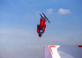 XIII Зимняя спартакиада учащихся (юношеская) России, фристайл