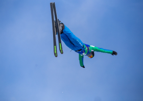 XIII Зимняя спартакиада учащихся (юношеская) России, фристайл