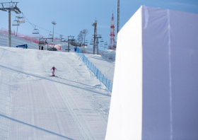 XIII Зимняя спартакиада учащихся (юношеская) России, фристайл