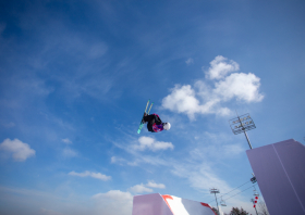 XIII Зимняя спартакиада учащихся (юношеская) России, фристайл