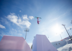 XIII Зимняя спартакиада учащихся (юношеская) России, фристайл