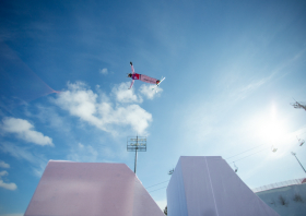 XIII Зимняя спартакиада учащихся (юношеская) России, фристайл