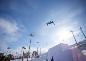 XIII Зимняя спартакиада учащихся (юношеская) России, фристайл