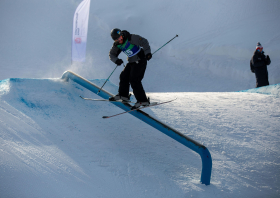 XIII Зимняя спартакиада учащихся (юношеская) России, фристайл