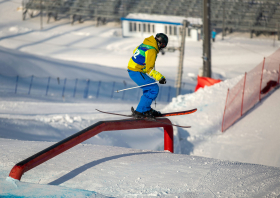 XIII Зимняя спартакиада учащихся (юношеская) России, фристайл