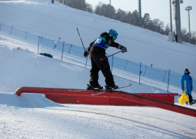 XIII Зимняя спартакиада учащихся (юношеская) России, фристайл