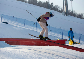 XIII Зимняя спартакиада учащихся (юношеская) России, фристайл