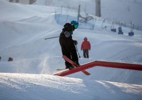 XIII Зимняя спартакиада учащихся (юношеская) России, фристайл