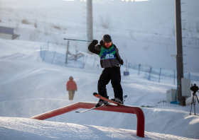 Спартакиада учащихся России: медали фристайла