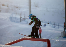 XIII Зимняя спартакиада учащихся (юношеская) России, фристайл