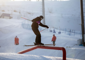 XIII Зимняя спартакиада учащихся (юношеская) России, фристайл