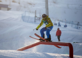 Спартакиада учащихся России: медали фристайла