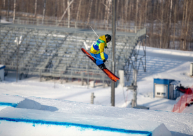 XIII Зимняя спартакиада учащихся (юношеская) России, фристайл