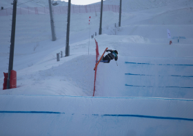 XIII Зимняя спартакиада учащихся (юношеская) России, фристайл