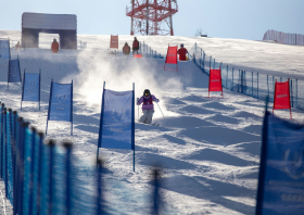 XIII Зимняя спартакиада учащихся (юношеская) России, фристайл