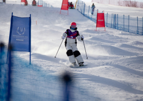 XIII Зимняя спартакиада учащихся (юношеская) России, фристайл