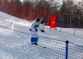 XIII Зимняя спартакиада учащихся (юношеская) России, фристайл