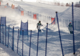 XIII Зимняя спартакиада учащихся (юношеская) России, фристайл