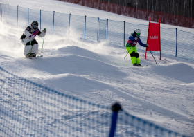 XIII Зимняя спартакиада учащихся (юношеская) России, фристайл