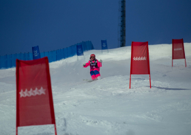 Первенство России <br>по фристайлу – 2026 <br>(могул, парный могул)